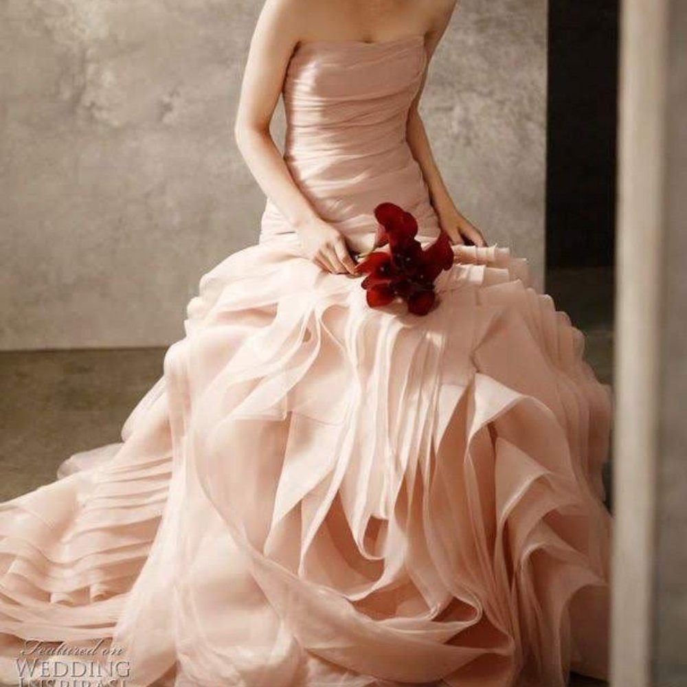 Vera Wang Blush Pink Wedding Gown Size 0
